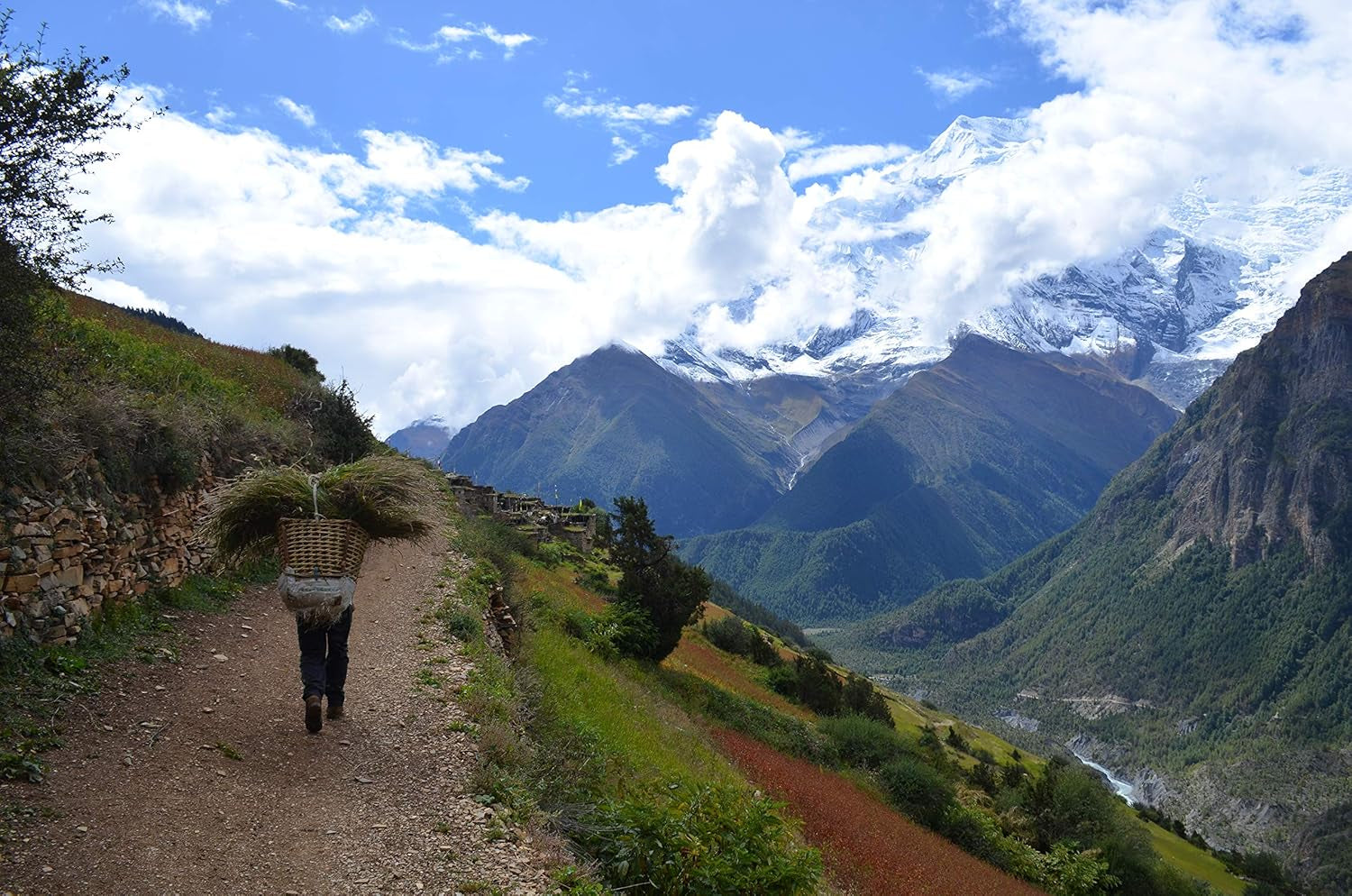 Rohkaffee Nepal Mt. Everest Cofffee (1000g)