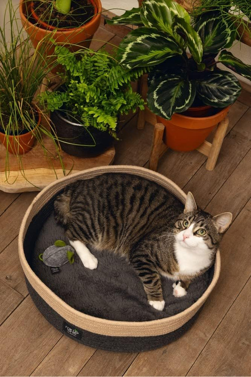 Paturi, cuverturi & mobilier, animale de companie, pisici, paturi pisici, Pisici - culcusuri, saltele