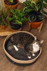 Paturi, cuverturi & mobilier, animale de companie, pisici, paturi pisici, Pisici - culcusuri, saltele