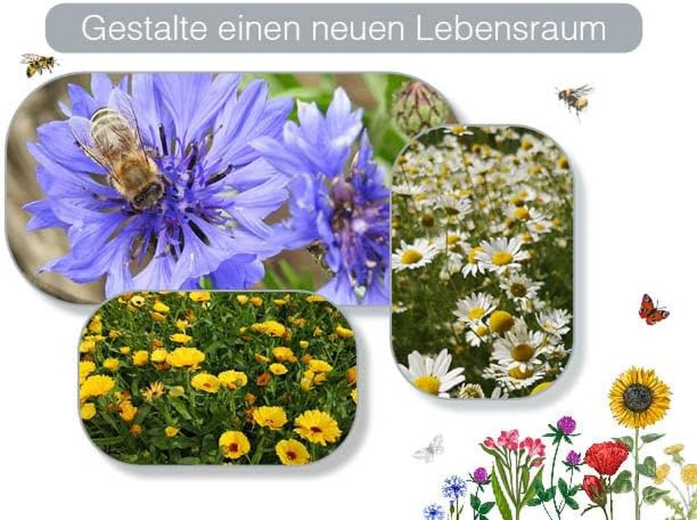 Deutsche Samen – Bunter Bauerngarten Set – 7 Verschiedene Pflanzen – Insektenfreundlicher Garten - Pflegeleichte Mehrjährige Pflanzen – Abwechslungsreiche Farbenprächtige Blumen
