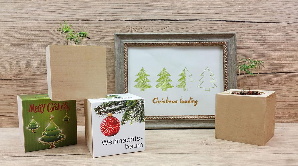 Feel Green Ecocube Weihnachtsbaum/Xmas Tree, Nachhaltige Geschenkidee (100% Eco Friendly), Grow Your Own/Anzuchtset, Pflanzen Im Holzwürfel, Made in Austria