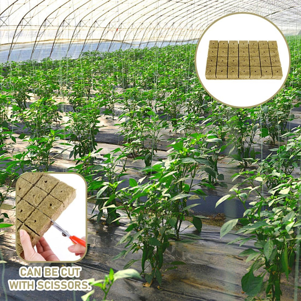 Kostki do sadzonek wełny mineralnej 28 - Kostki do sadzonek wełny mineralnej 4x4x4cm - Kostki do sadzonek, kostki wełny mineralnej, systemy sadzonek hydroponicznych/rośliny klonowane/projekty szkolne, uprawa sadzonek bez gleby