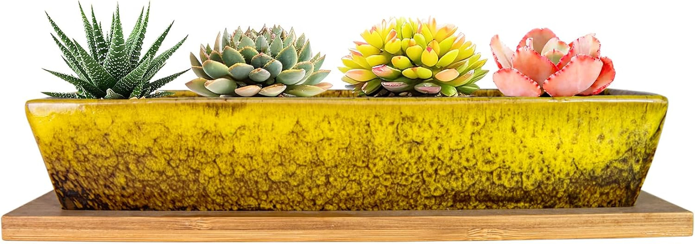 Ghivece ceramice pentru suculente, 30 cm, moderne, lungi, dreptunghiulare, recipient pentru flori cu tavă, cutie plată pentru cactus și bonsai cu drenaj, pentru uz interior și exterior, decorațiuni interioare