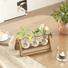 Stacja do rozmnażania hydroponicznego Bamworld z drewnianym stojakiem - 3 szklane wazony do uprawy roślin wodnych i dekoracji wnętrz