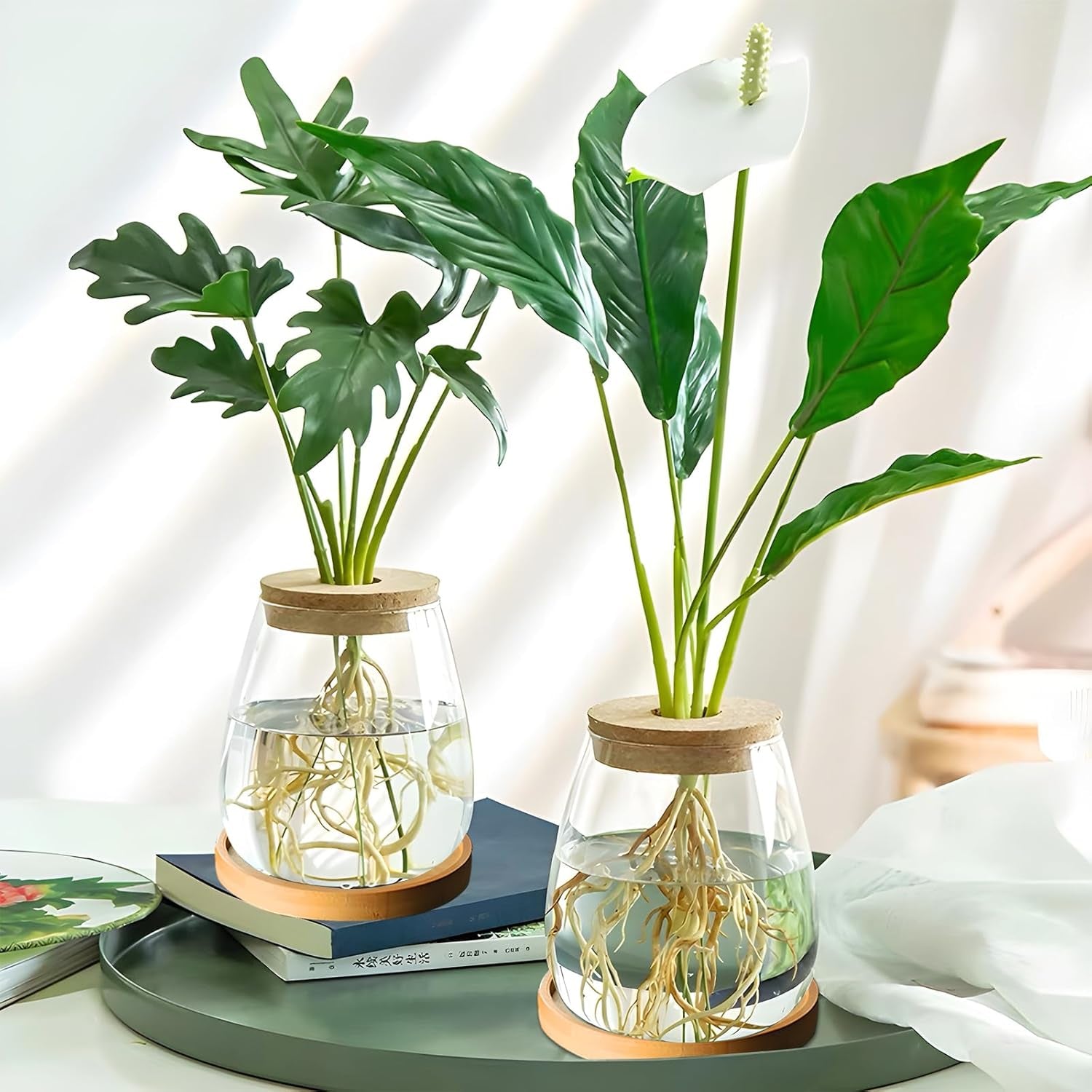 Stacja do uprawy roślin hydroponicznych 12x11 cm Wazon z nasionami awokado Szklana sadzarka Hydroponiczny szklany wazon na rośliny wodne lub kwiaty Biurko Wystrój stołu 2 szt.