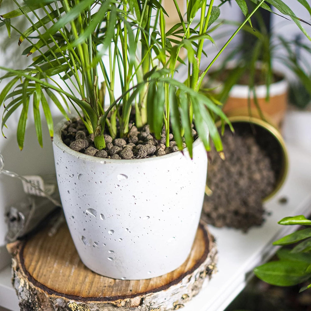 Browin 749950 Keramsit - glinka ekspandowana 4 L, 10-20 mm, brąz