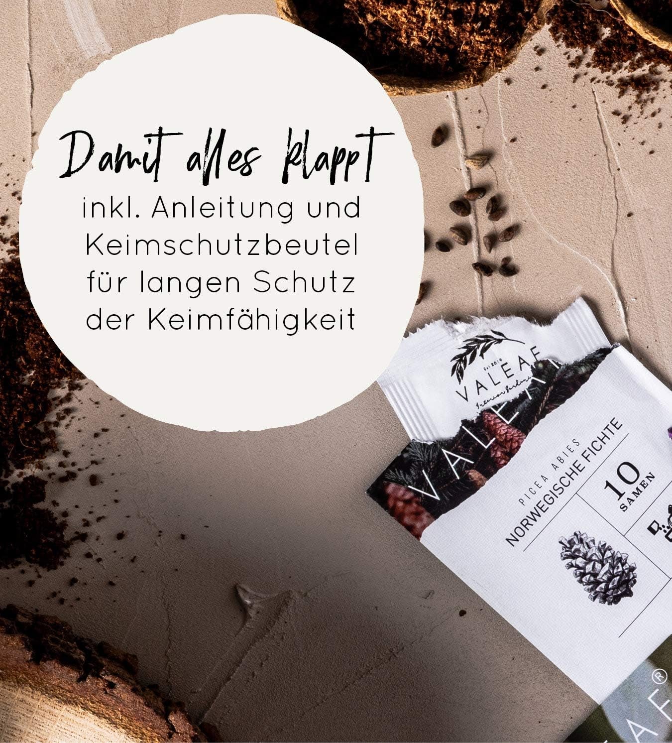 10 nasion Bonsai z 5 kontynentów | Nasiona egzotycznych drzew dla Twojego wyjątkowego Bonsai | Zestaw startowy i entuzjaści roślin | Nasz zestaw Bonsai jako wyjątkowy pomysł na prezent