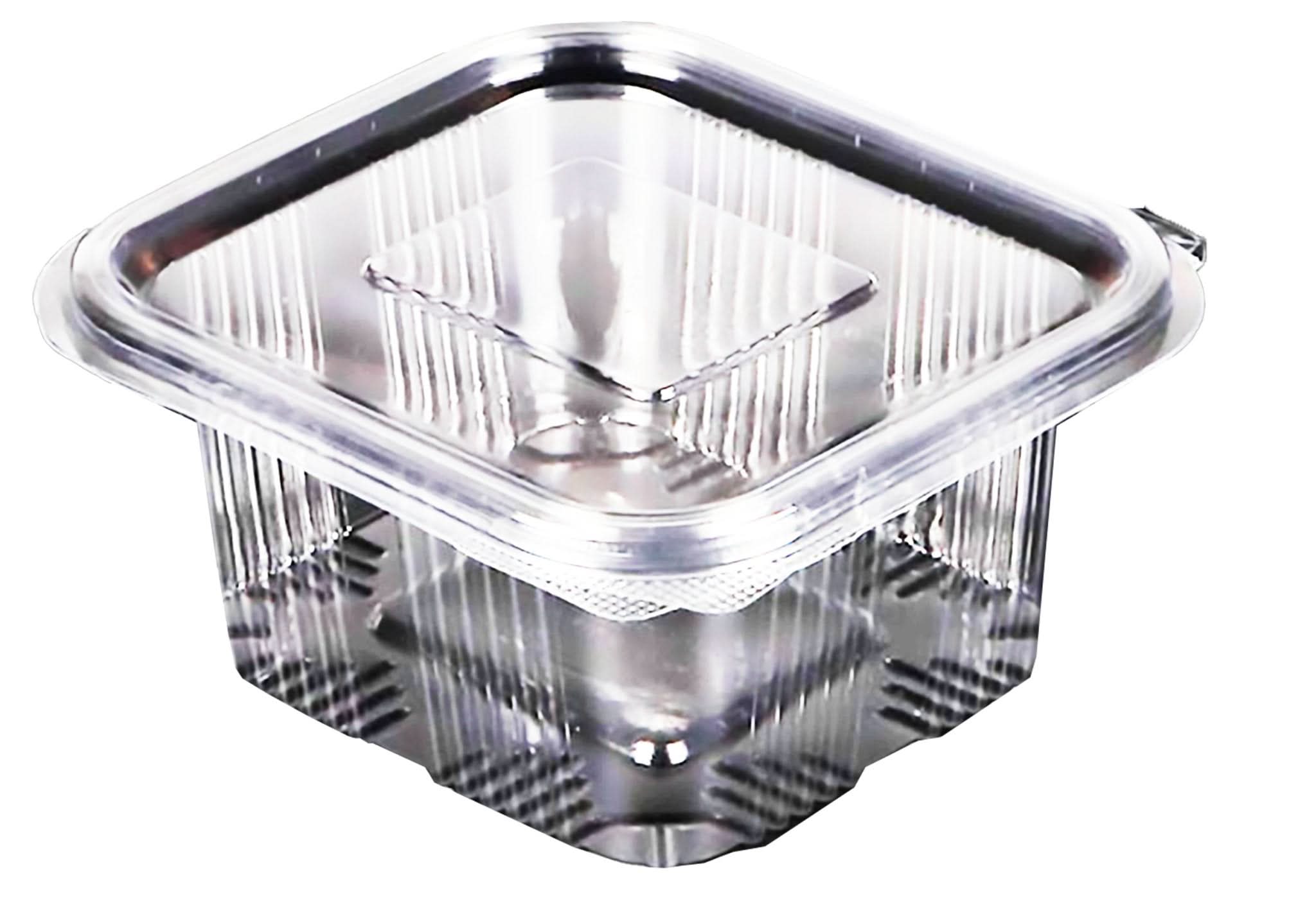 Caserole plastic 500 ml, set 10 buc Catering Nati Shop
