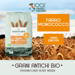 Organiczny makaron Penne Rigate N.91 - 500g Niskotłuszczowy makaron pszenny - Źródło błonnika i białka