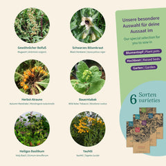 Nasiona magicznego ogrodu - Zaczarowane rośliny z 6 magicznymi ziołami: piołun, piołun, mandragora i inne - Kadzidełka do samodzielnego wzrostu i dawania w prezencie