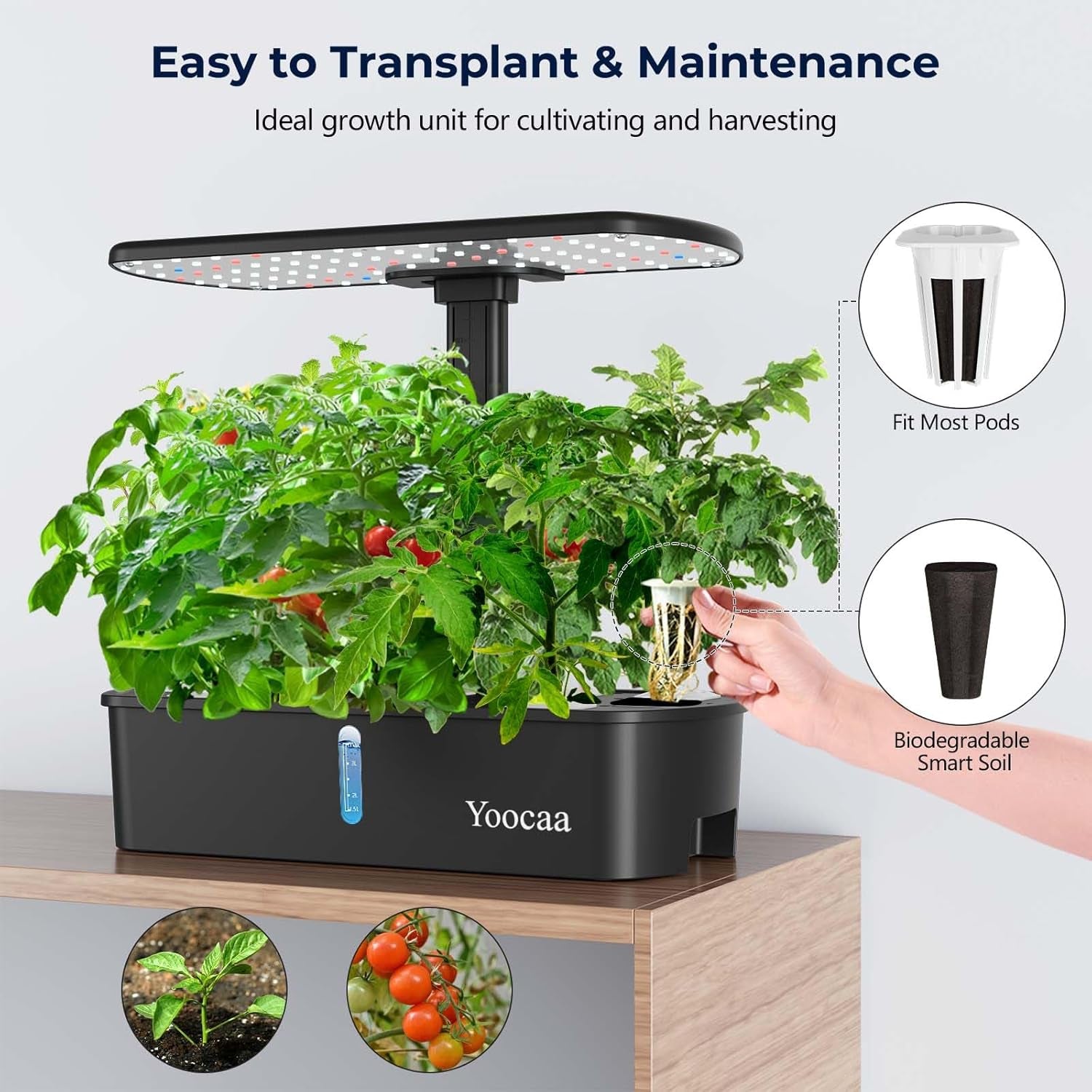 System uprawy hydroponicznej na 12 roślin, kryty ogród ziołowy z automatycznym timerem, pompą, inteligentnym zestawem do uprawy ogrodowej z regulacją wysokości (nasiona nie wchodzą w skład zestawu)