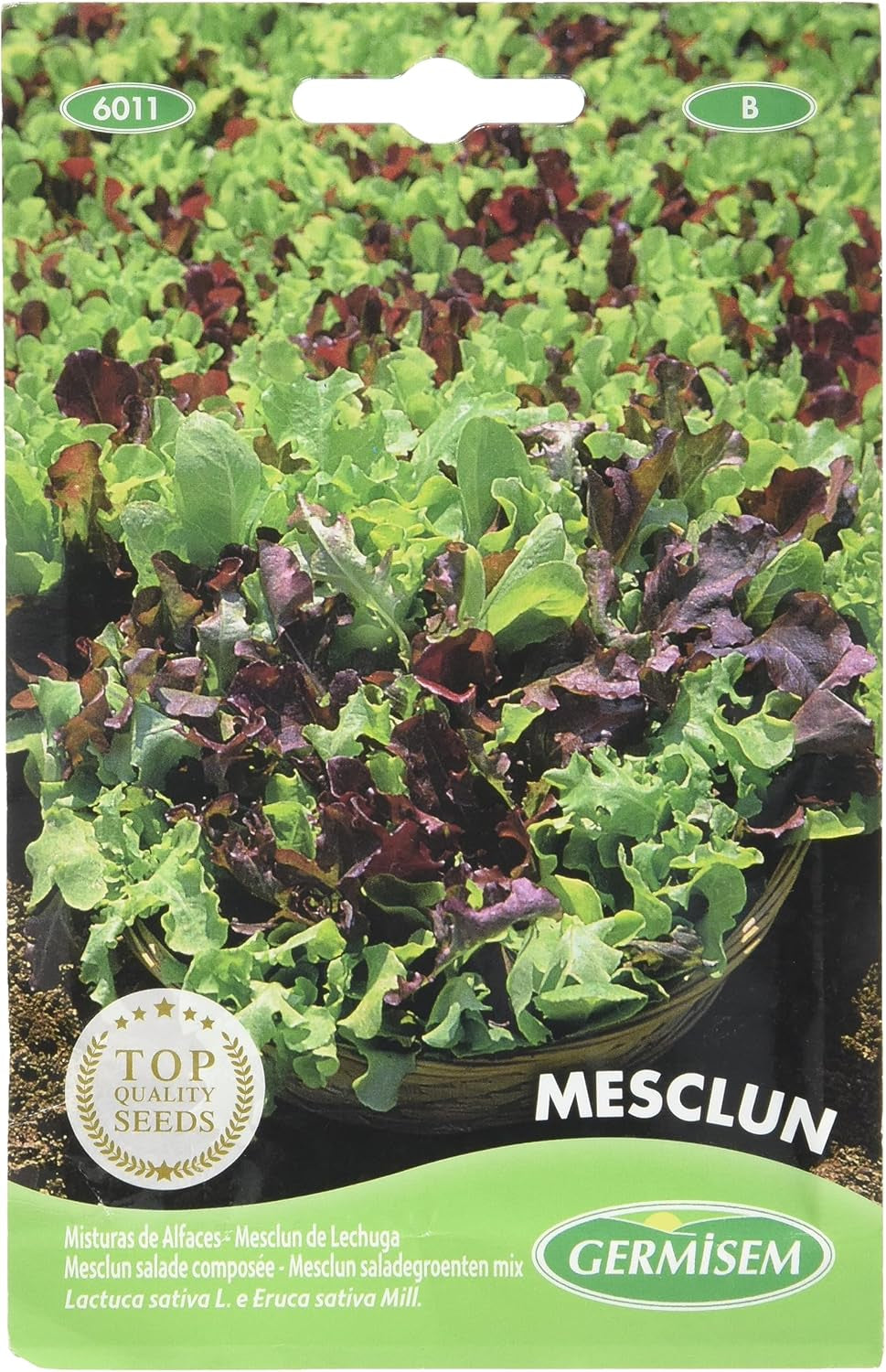 Gartensalat LOLLO ROSSA, Mehrfarbig, EC6013