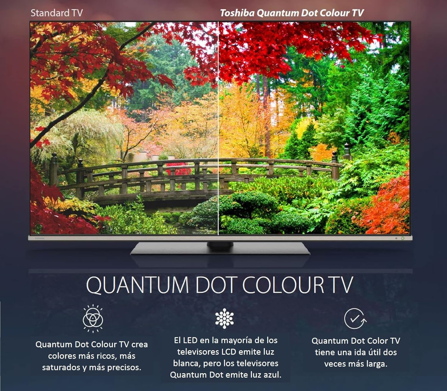 Toshiba, 43QA4163DG, 43 inch, QLED Quantum Dot Ultra HD (3840 x 2160), Asistent Google, Bluetooth, Netflix, Video, Chromecast