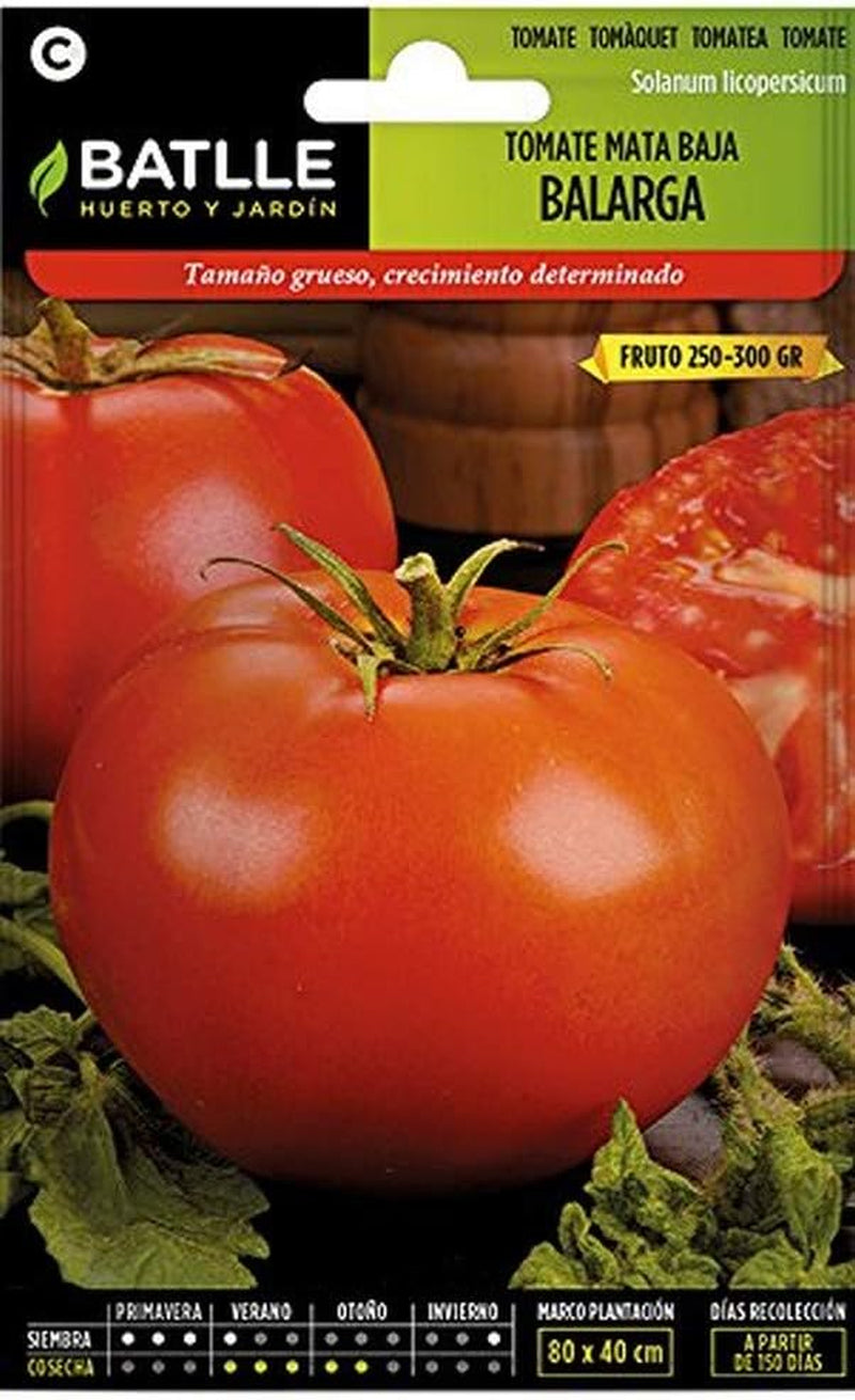 Batlle Gemüsesamen - Tomate Montserrat (875 Samen)