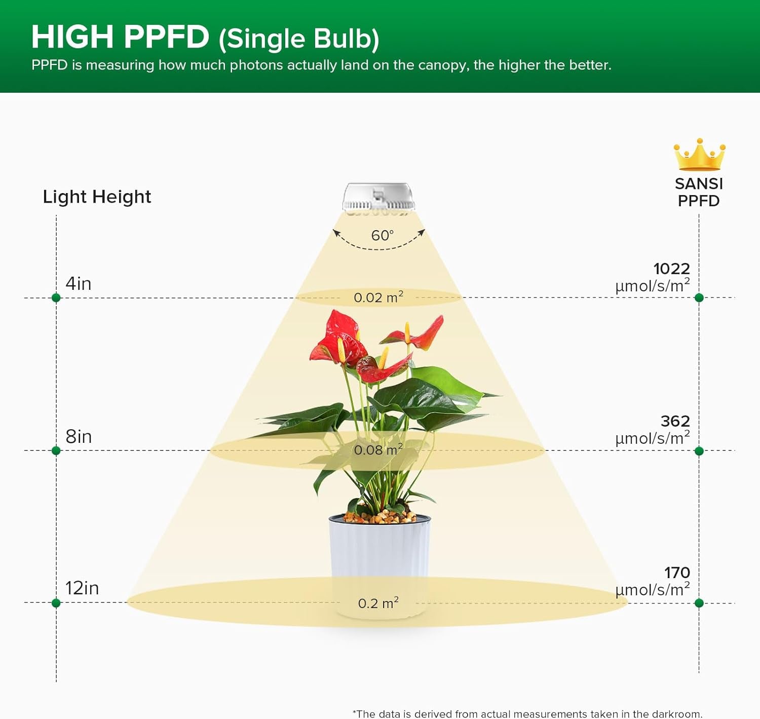 SANSI LED oświetlenie do uprawy roślin domowych 2 głowice pełne spektrum 10 W (odpowiednik 150 W) zegar 4/8/12 godzin roślina doniczkowa szklarnia hydroponiczna lampa wisząca