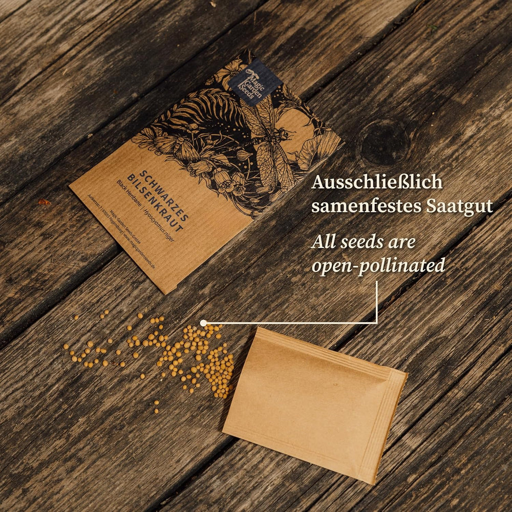 Rumianek Dye's (Anthemis tinctoria) - około 800 nasion tradycyjnej rośliny barwnikowej i wieloletniego kwiatu