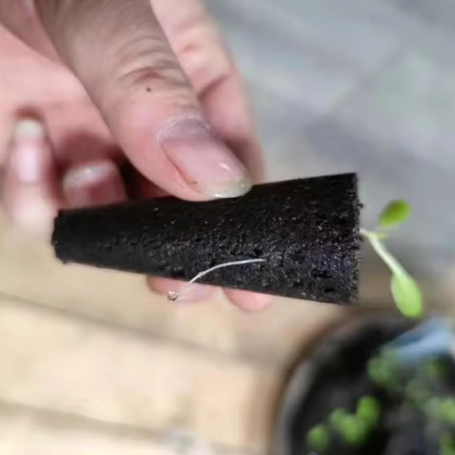 50 wymiennych gąbek do uprawy, probówki do zakładania nasion, zatyczki do gąbek do uprawy korzeni, zestawy do uprawy hydroponicznej do systemów uprawy hydroponicznej, hydroponika wewnętrzna, ogród