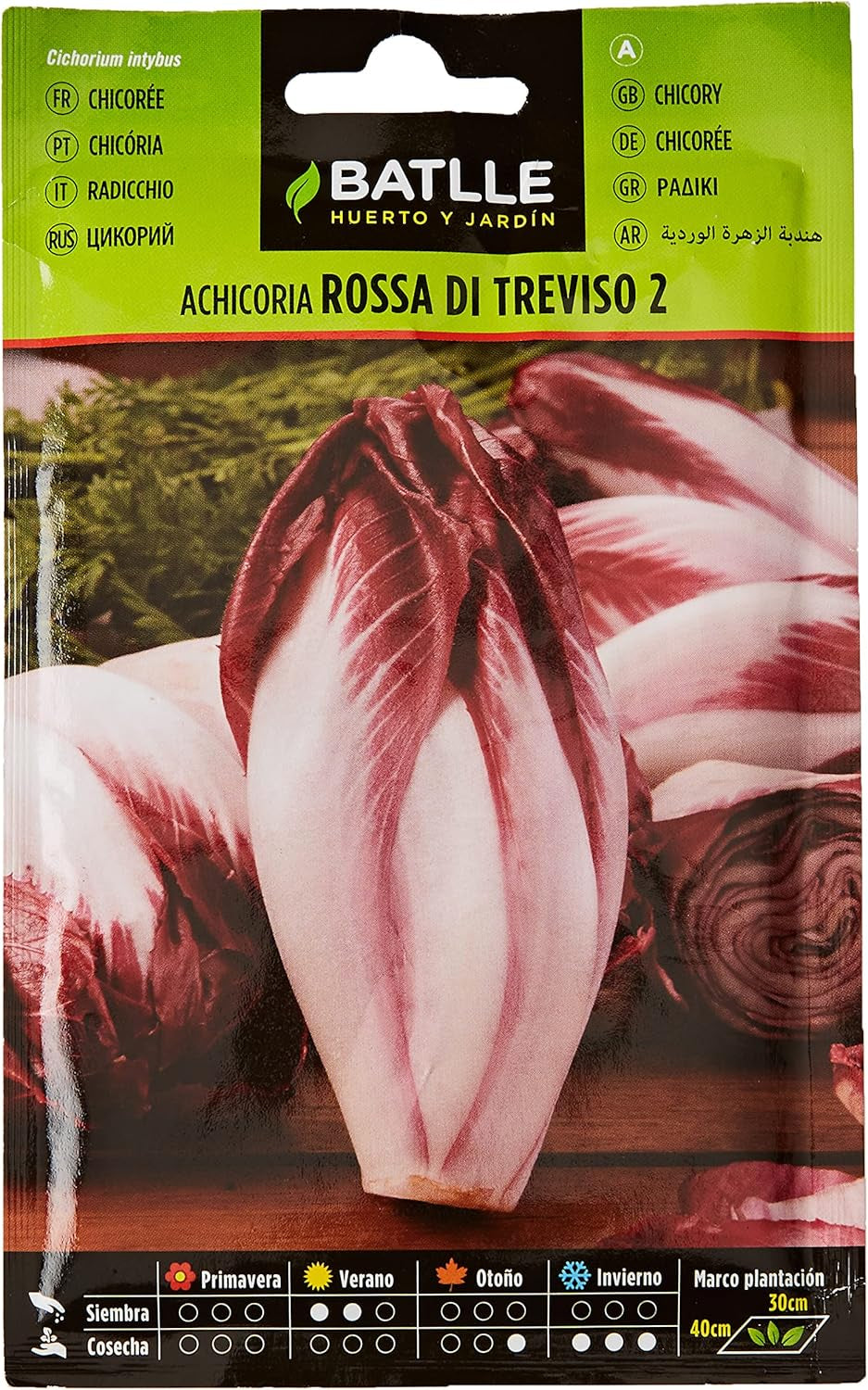 Batlle Gemüsesamen - Chicoree Radicchio Rossa Di Treviso (3200 Samen)