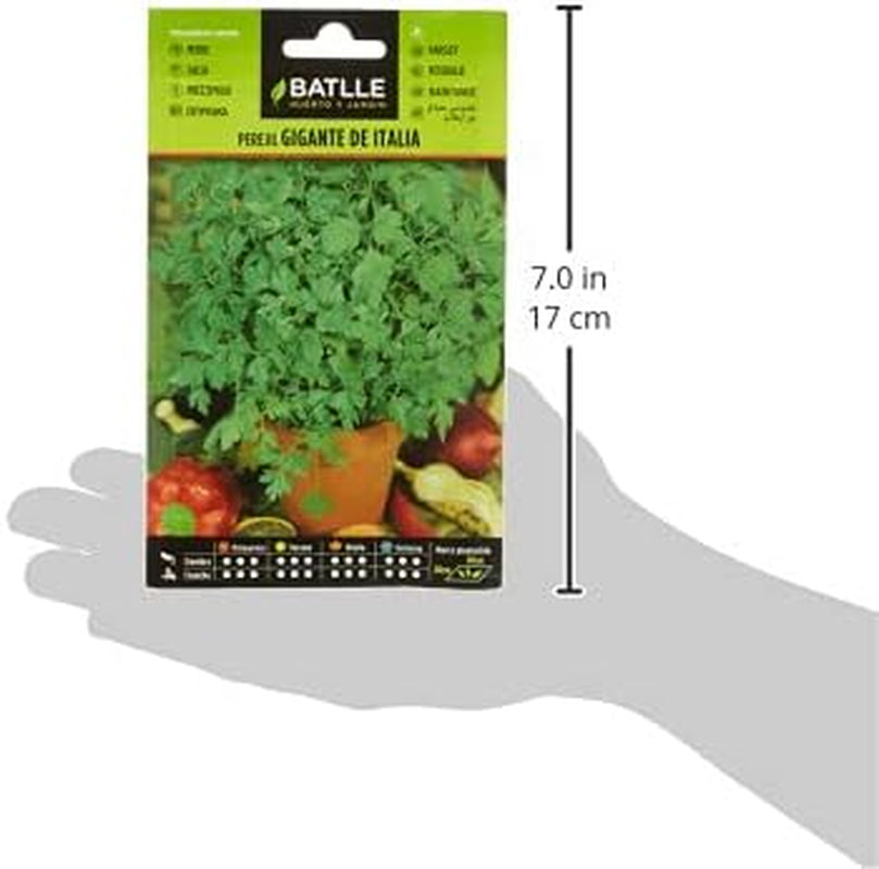 Batlle Kräutersamen - Petersilie Italienisch (Samen - 35Cm)