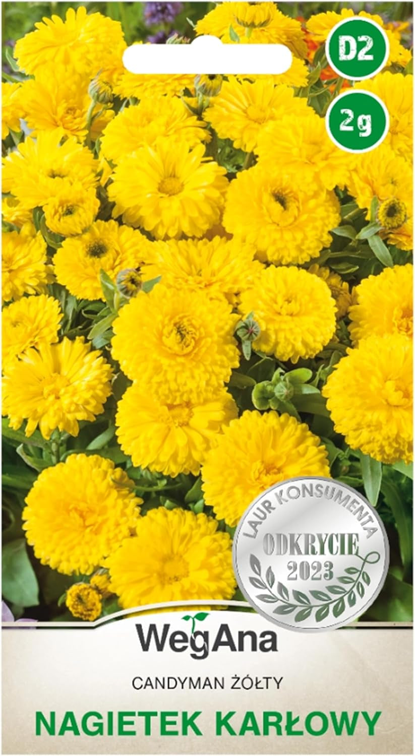 Cosmos Sensation Mix 1g nasion, Cosmos Mix Kwiaty letnie, Rośliny ogrodowe Rośliny balkonowe, Nasiona kwiatów