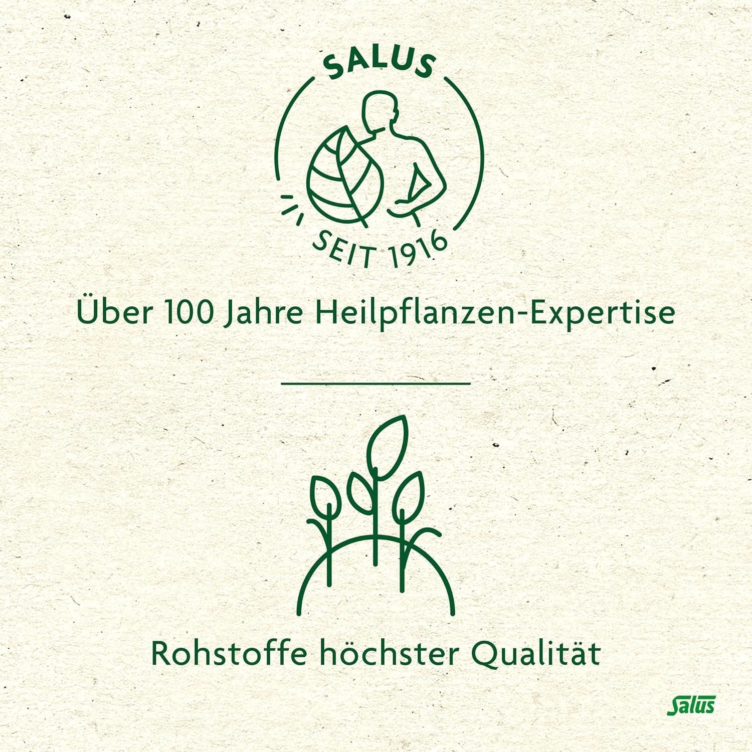 Salus - Ceai de măceșe și malva - 1X 15 pliculețe filtru (45 g) - Ceai de fructe - Compoziție din măceșe și flori de hibiscus african - Răcoritor - Bio