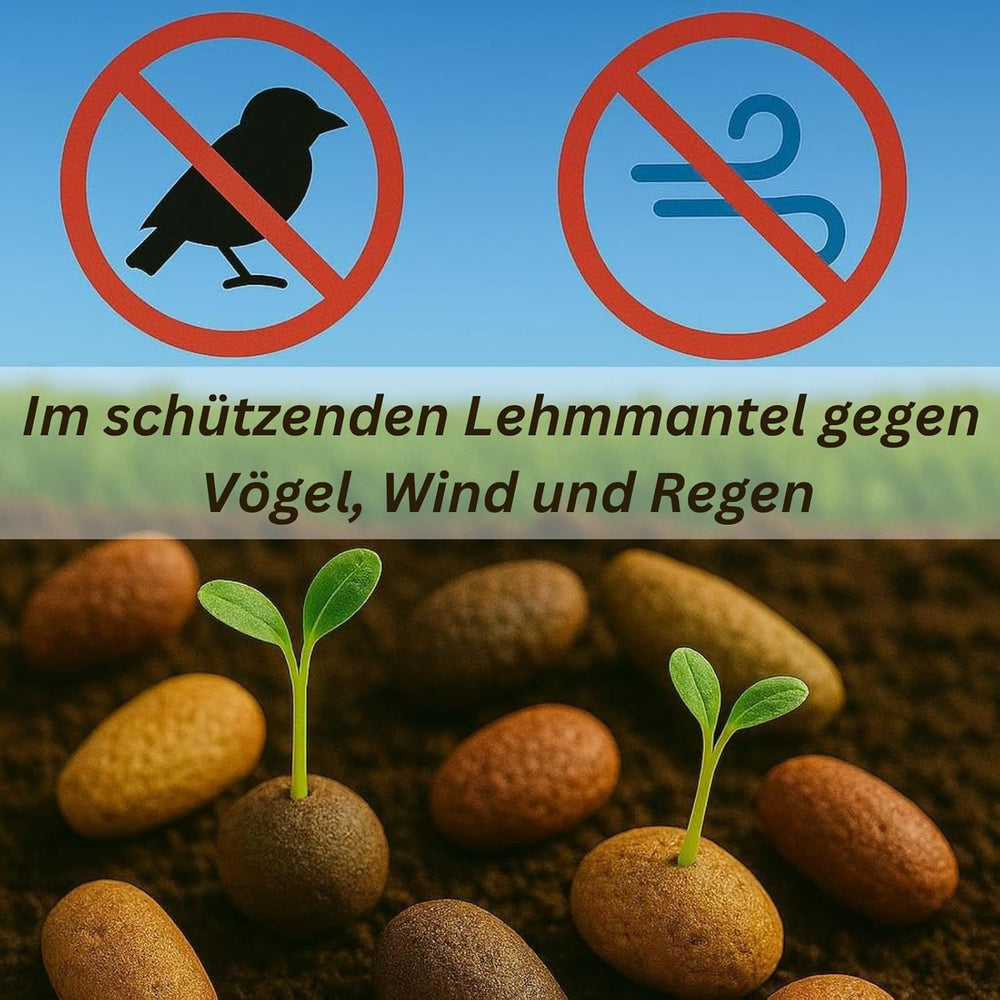 Nasiona kwiatów w ochronnej otoczce glinianej dla pszczół i motyli, 400g. Mieszanka wieloletnich i odpornych na zimę dzikich kwiatów na 20 m². Piękne nasiona dzikich kwiatów na kolorowe pastwisko dla pszczół. Prezent dla dzieci.