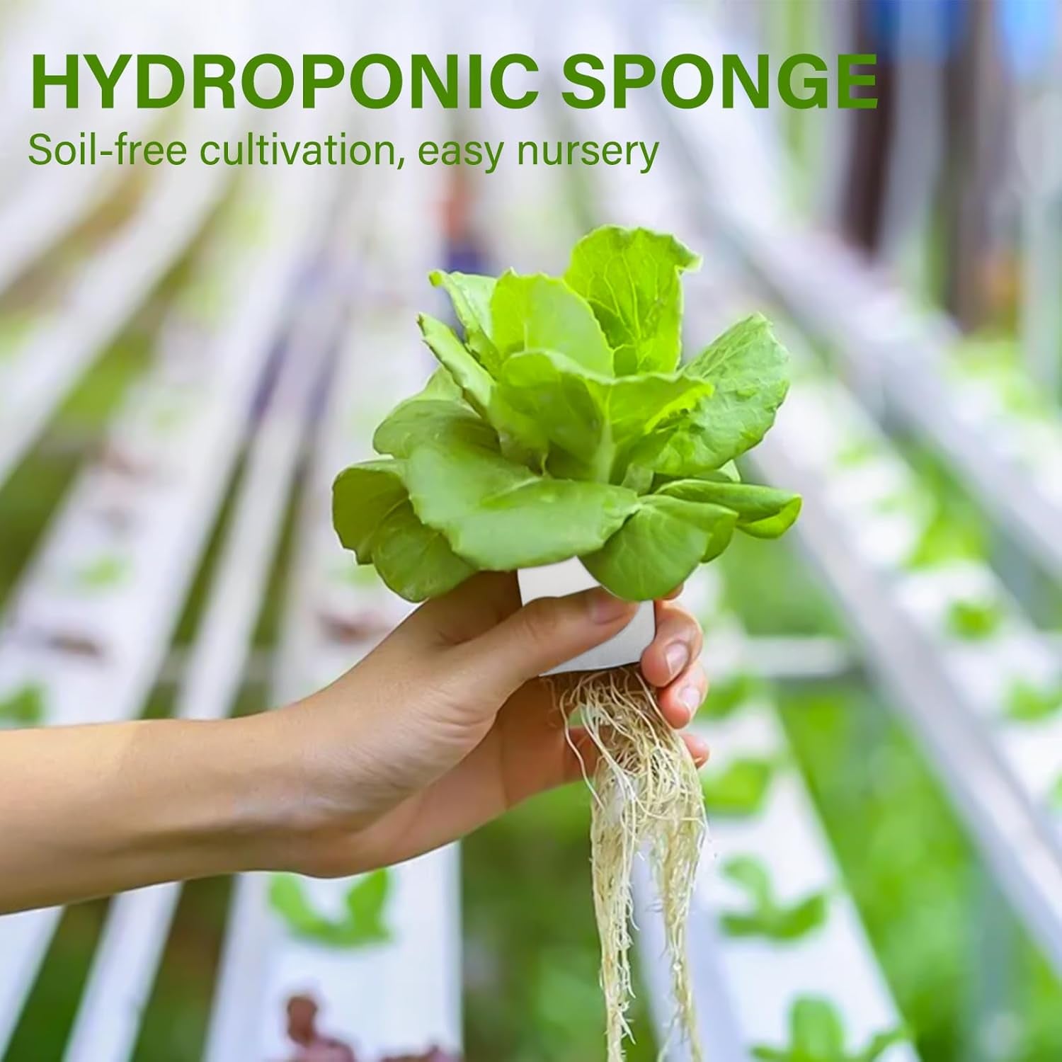 Wełna mineralna, wełna mineralna do rozmnażania, 2 szt., gąbka hydroponiczna, 200 szt. Po cięciu - alternatywa dla szklarni, kiełkowania nasion i warzyw domowych