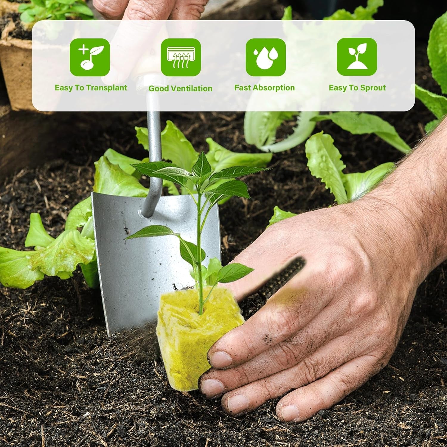 100 Stück Steinwolle Anzucht Würfel 2,5x2,5x2,5CM Kostka z wełny mineralnej Anzuchtmatte Steinwolle Anbau Hydrokultur Umpflanzen für Bodenlose Anzucht Setzlinge Stecklinge Klonpflanzen