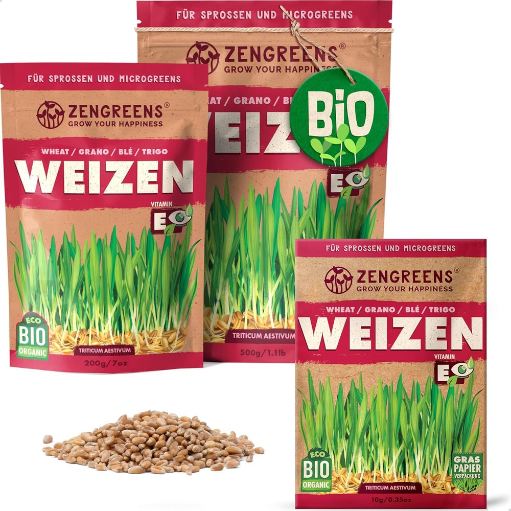 Bio Sonnenblumen Samen - Wähle Zwischen 10G, 200G Und 500G - Sonnenblume Mit Keimrate Von Über 97% - Keimsprossen - Sonnenblumensamen Zum Sprossen Ziehen - Wiederverschließbare Verpackung