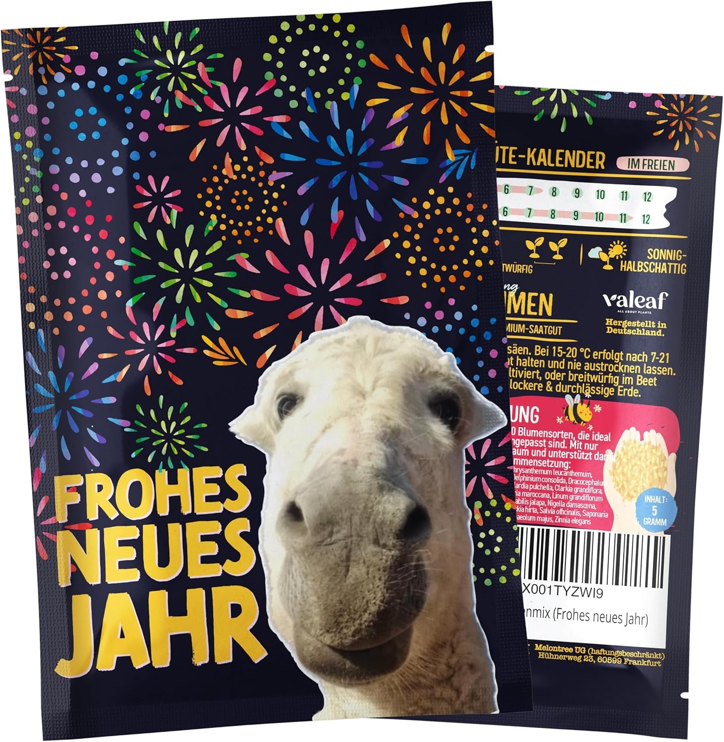 Choinka 2030 - Nasiona choinek firmy Nordmann do sadzenia choinki, idealne jako tajemniczy prezent bożonarodzeniowy od Świętego Mikołaja