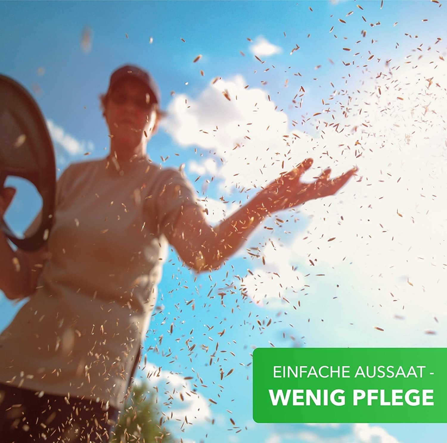 Magia Natury 800gr. Blumensamen Mischung - Bienen Paradies - Blühfreudige Bienenweide für 150 bis 250 m²