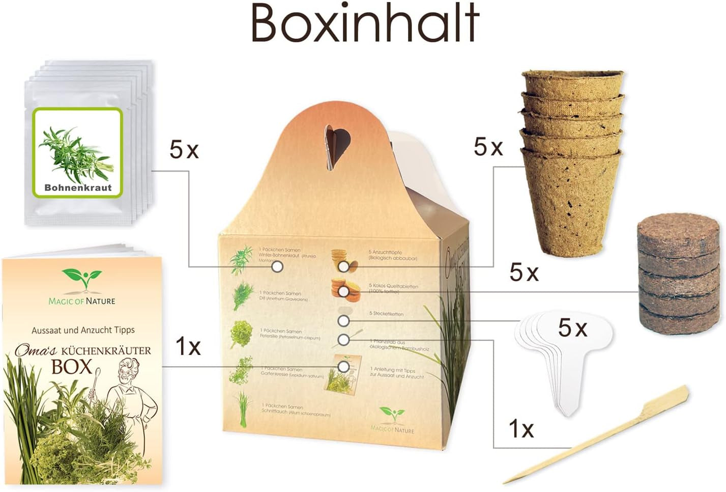 Magia natury Pudełko Küchenkräuter Omy - Anzuchtset - 5 Sorten frische Kräuter Samen - Zum Selberzüchten oder zum Verschenken