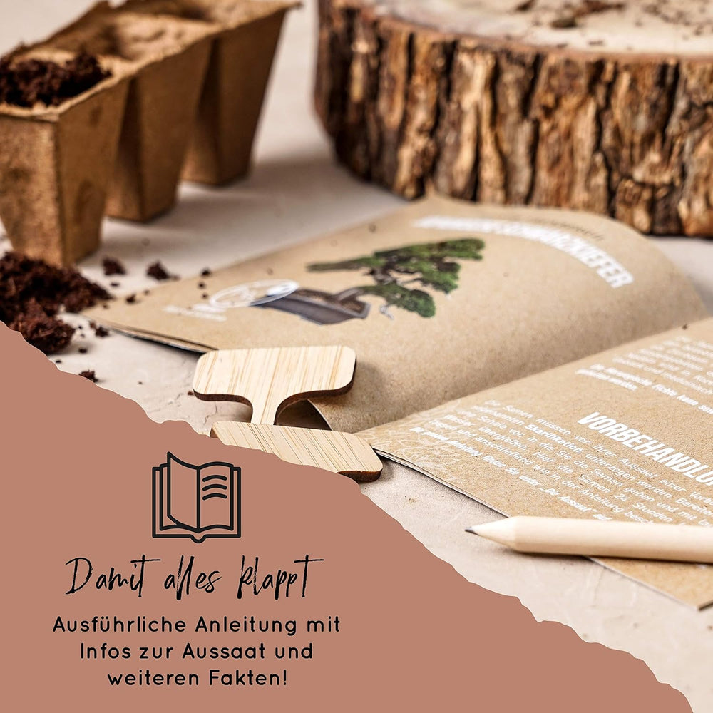 10 nasion Bonsai z 5 kontynentów | Nasiona egzotycznych drzew dla Twojego wyjątkowego Bonsai | Zestaw startowy i entuzjaści roślin | Nasz zestaw Bonsai jako wyjątkowy pomysł na prezent