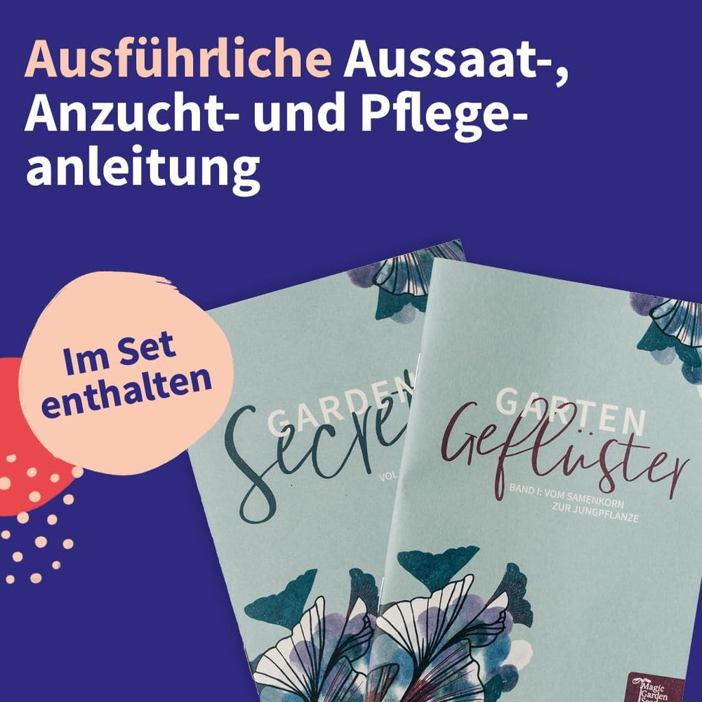 Nasiona Magic Garden - Środkowoeuropejski zestaw nasion roślin leczniczych - 12 tradycyjnych odmian popularnych roślin leczniczych - Odmiany scheda - Akcesoria ogrodowe - Nasiona roślin - Prezent dla miłośników ogrodu
