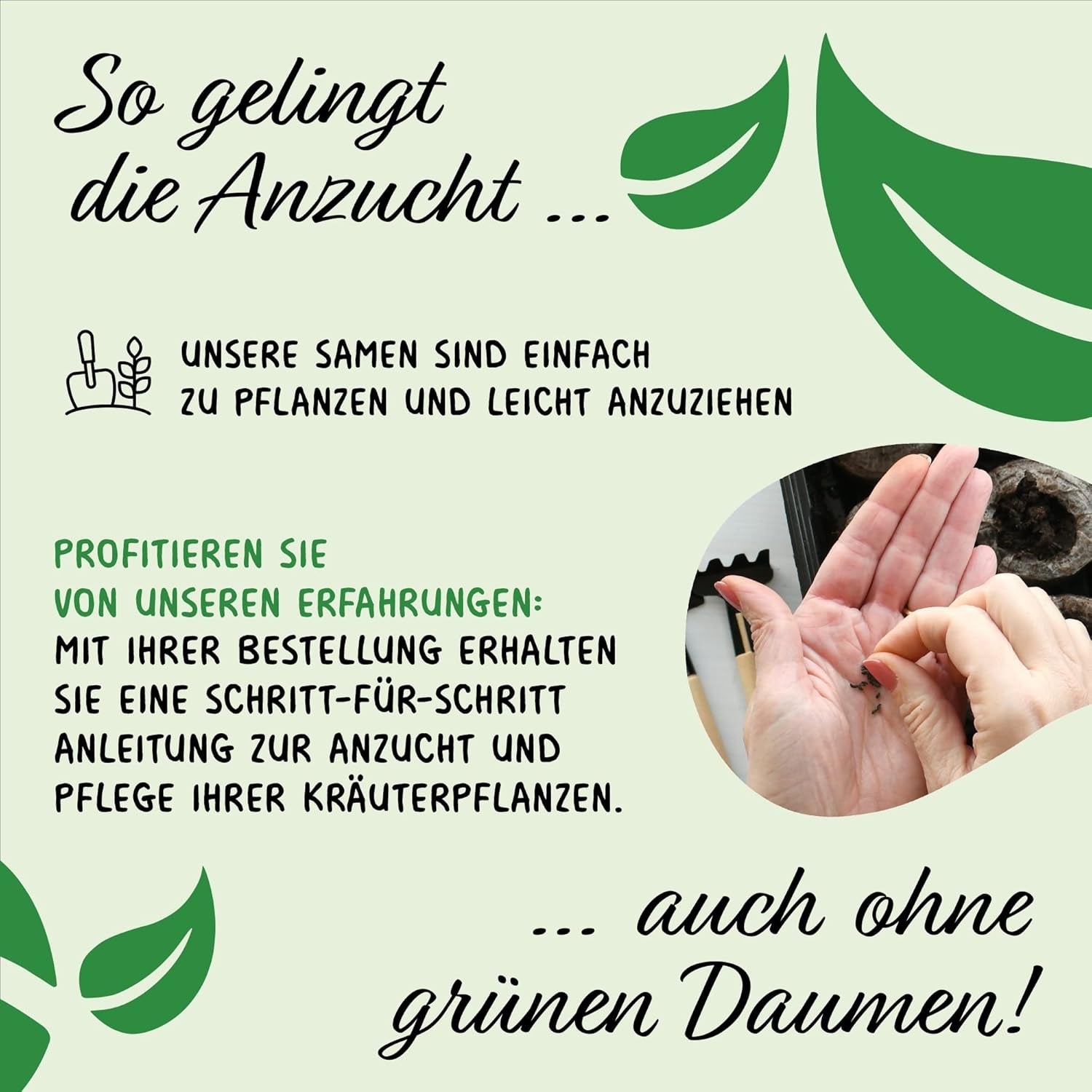 Prademir – Kräutersamen Set aus 16 beliebten Küchenkräutern – Kräuter Anzuchtset mit 100% Natursamen aus Portugal – Kräuter Saatgut aus Oregano, tymianek, majeranek, rozmaryn, koper, bazylika, szałwia uvm