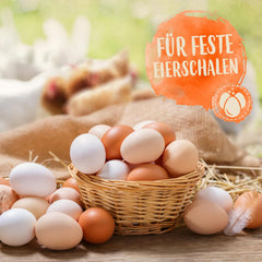 Ida Plus - GoldenEgg 200 ml - zredukowany Brucheier & Federfressen - wspierany Federwachstum & Federkleid - Wichtige Mineralien & Vitamine für Hühner - Beste Eierqualität bei Ihrer Hühnerhaltung