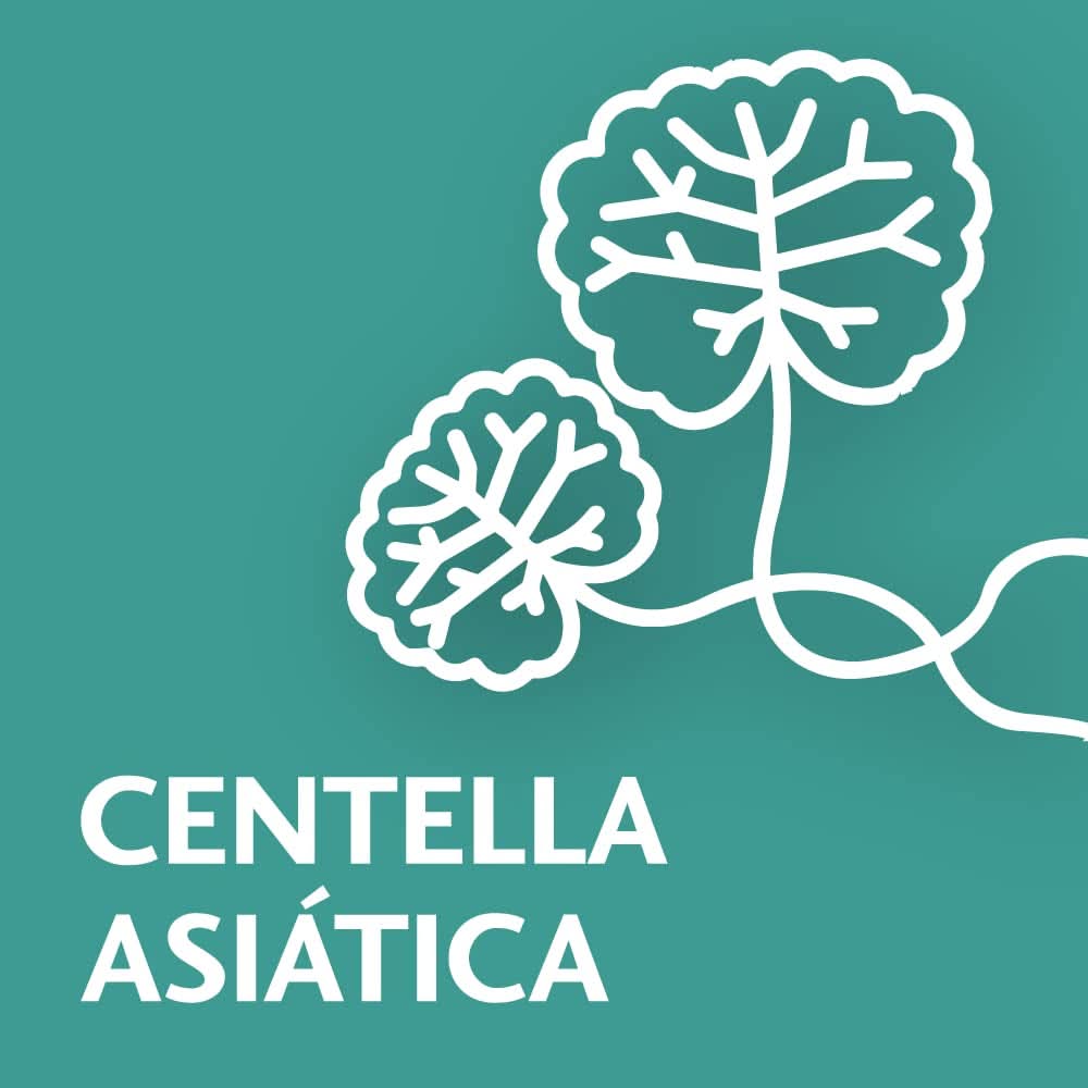 Novartis TROFOLASTIN Elastyczność Akcesoria do pielęgnacji sutków Żywność i karmienie piersią Sklep Bebe Naty