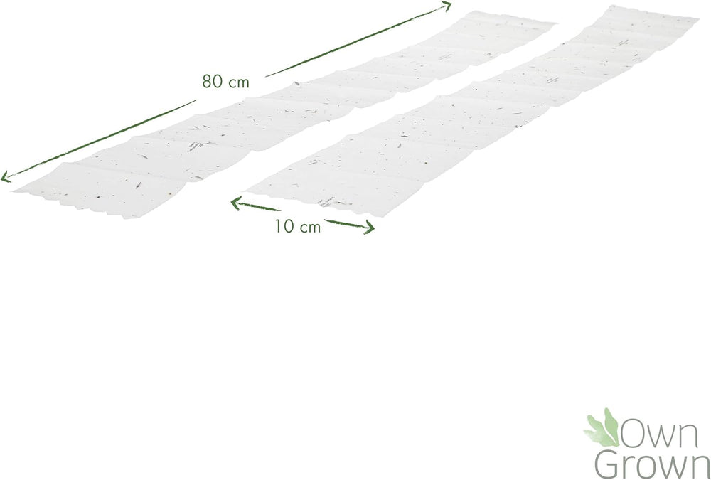 Kolorowa mieszanka kwiatów balkonowych - 2 wysokiej jakości maty z nasionami kwiatów balkonowych Łatwe w uprawie Letnie kwiaty i nasiona dzikich kwiatów z własnych upraw rocznych, przyjaznych dla owadów
