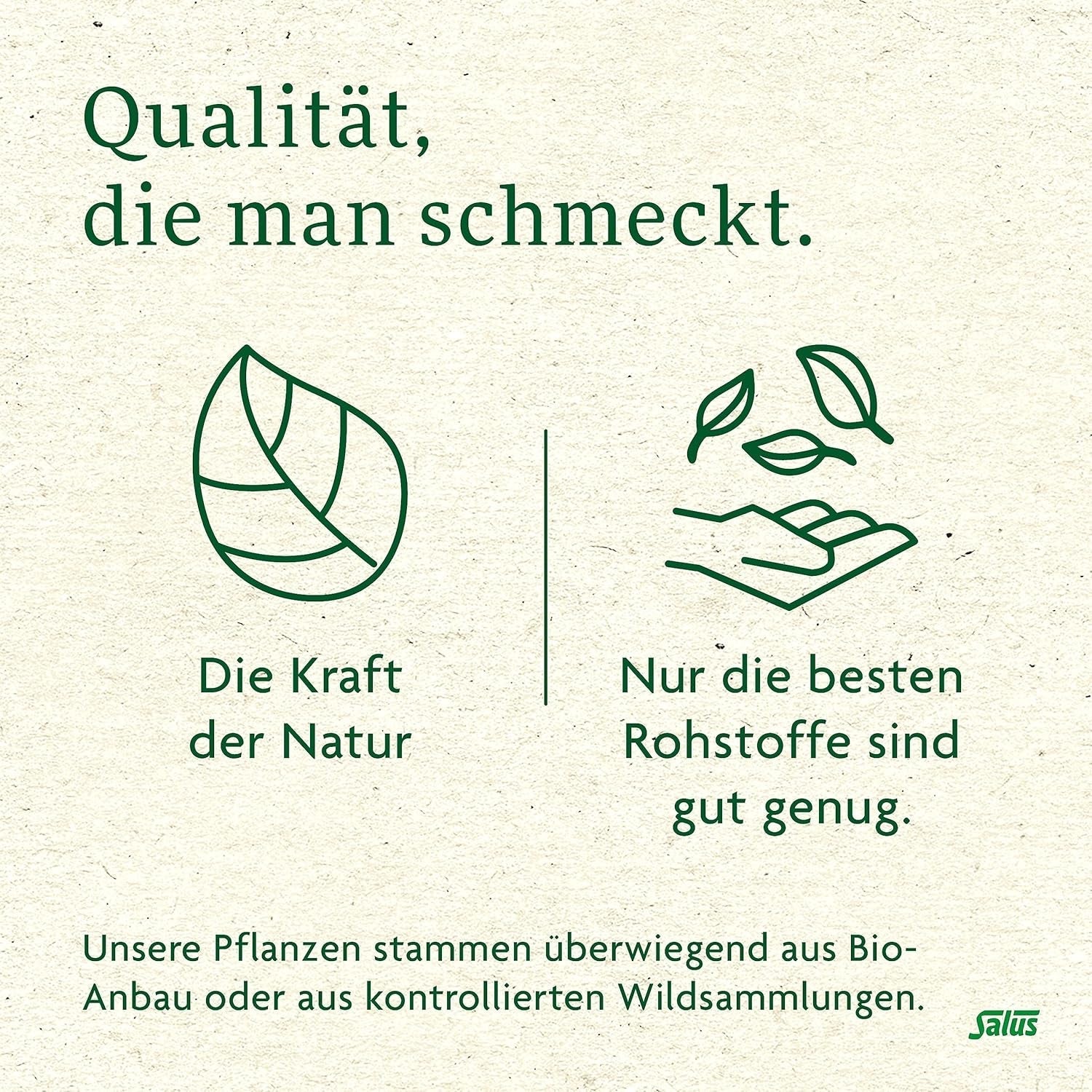 Salus - Ceai de măceșe și malva - 1X 15 pliculețe filtru (45 g) - Ceai de fructe - Compoziție din măceșe și flori de hibiscus african - Răcoritor - Bio