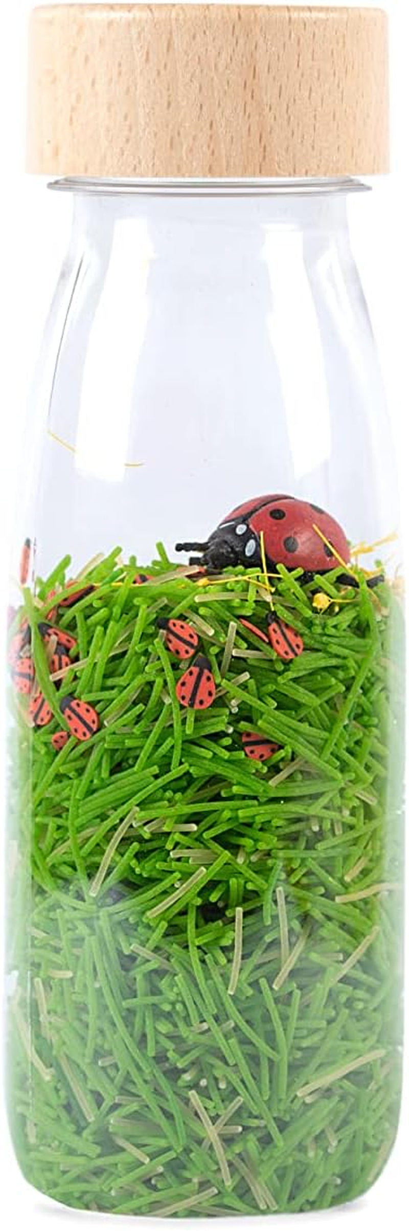 Sticlă de sunet Blue Tang Jucarii Bebe Naty Shop Ladybird