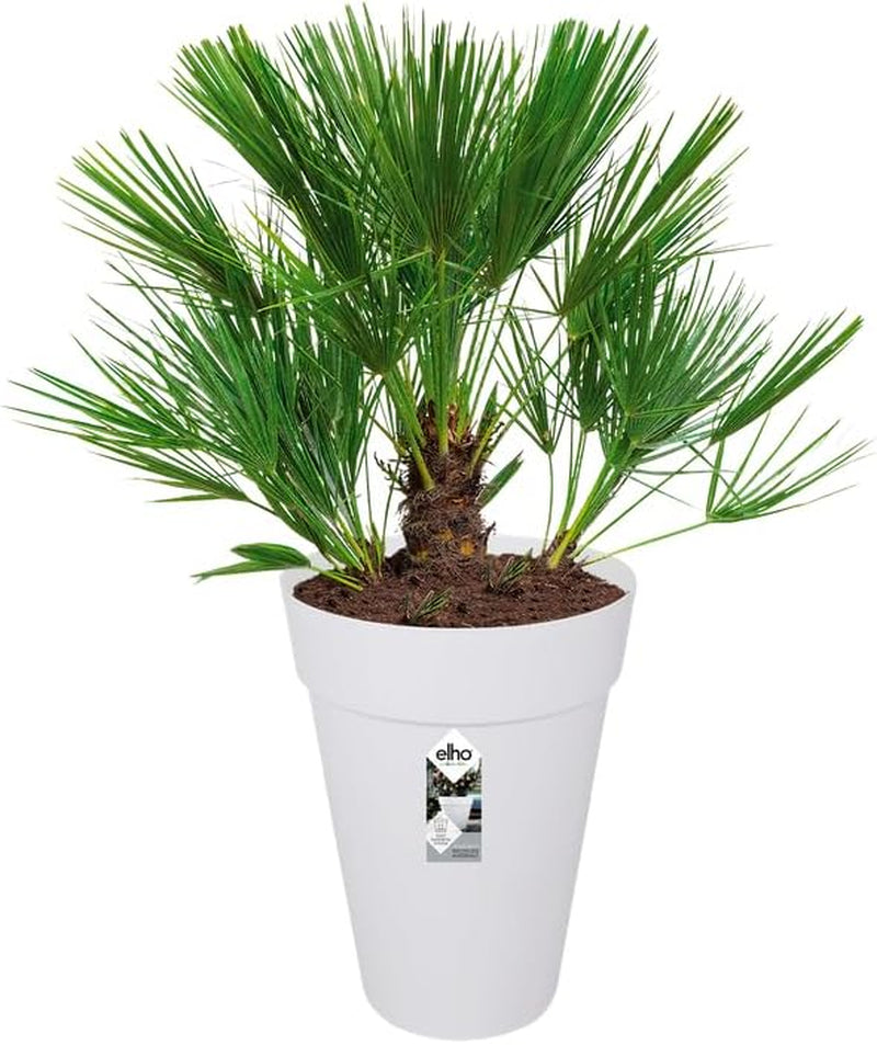 elho Loft Urban Round Tall 35 - Ghiveci de flori pentru exterior - Ø 33,5 x H 45,3 cm - Alb/Alb