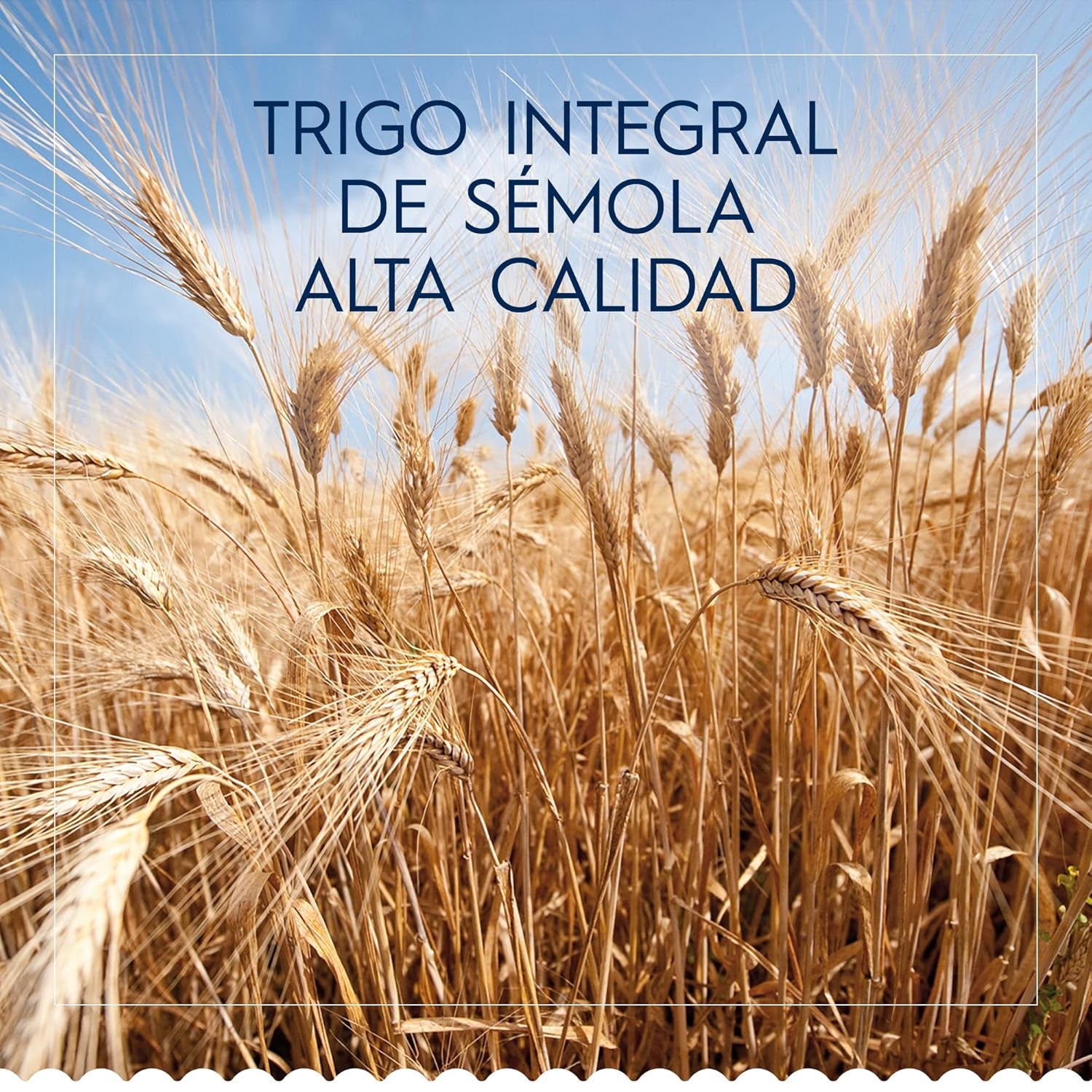 Barilla Classic Spaghetti nr 7 makaron z pszenicy durum, zawsze al dente (1 x 500 g)