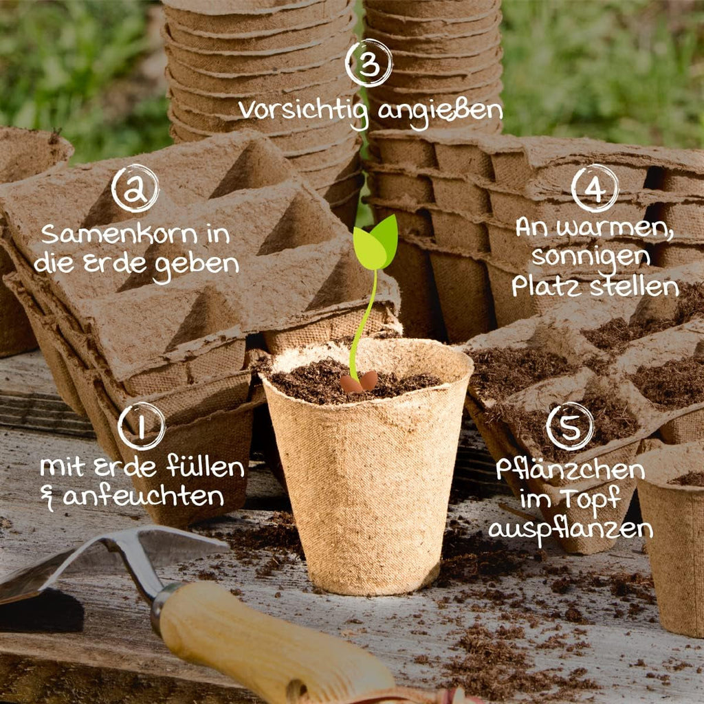 Ghivece pentru răsaduri Windhager, 48 bucăți, diametru 8 cm, maro, fără turbă, 04343