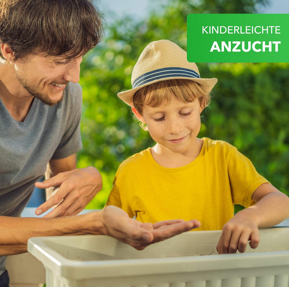 Mieszanka balkonowa Magic of Nature - 10 g nasion - Rośliny przyjazne dla pszczół - Łatwy w użyciu - Pszczeli raj - 5 rodzimych gatunków uprawnych - Nadaje się do skrzynek i donic na kwiaty