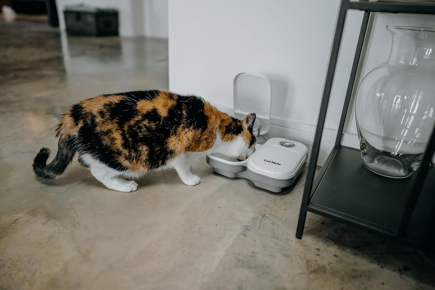 Hrănitor automat pentru animale Cat Mate pentru două mese (C200)