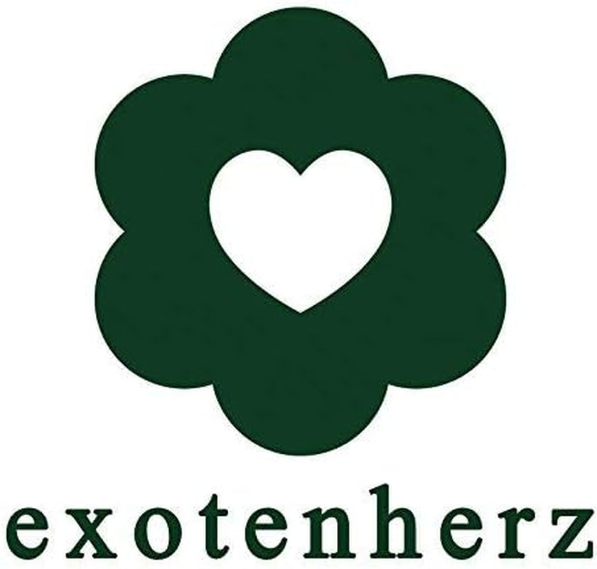 Exotenherz - Sansevieria Trifaciata Hahnii - 3 Versch. Pflanzen Im 5,5Cm Topf - Bogenhanf, Schwiegermutterzunge