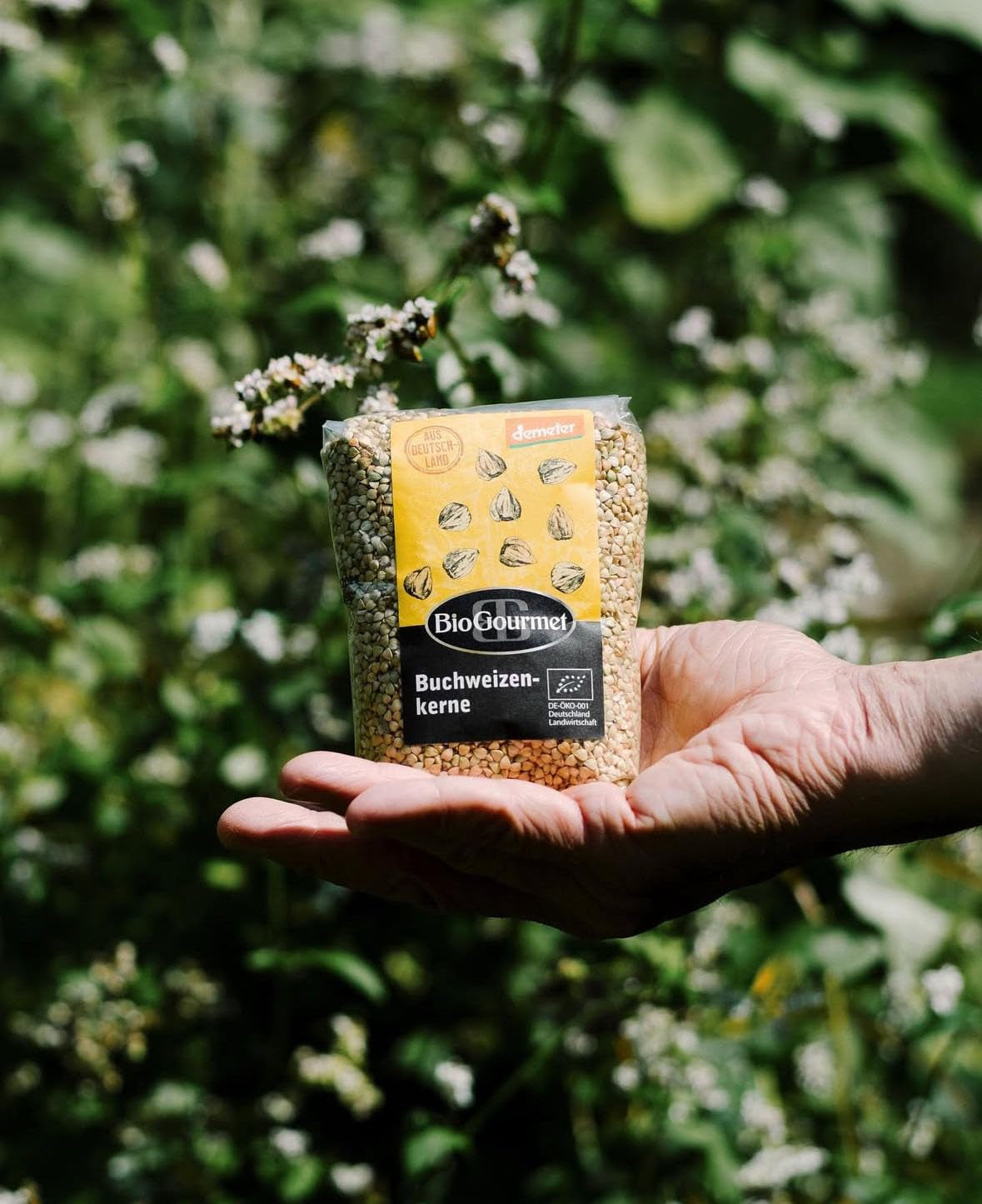 Kasza Gryczana BioGourmet Demeter – torebka 500g | Bezglutenowe, wysokobłonnikowe i regionalne | Z niemieckiego rolnictwa organicznego (Badenia-Wirtembergia/Bawaria) | Idealne do musli, sałatek i dodatków