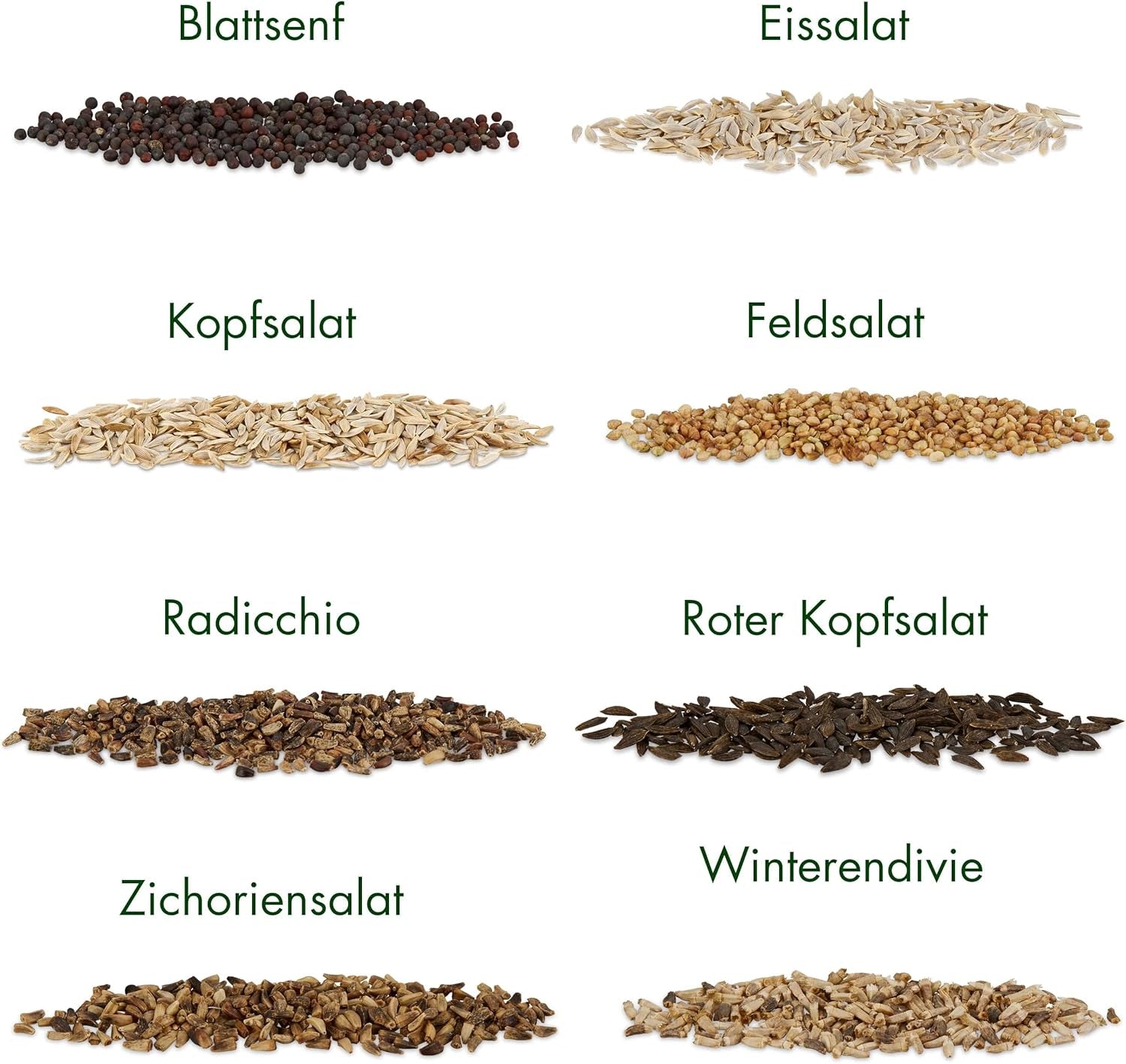 Nasiona sałaty: Zestaw 8 odmian nasion sałaty do ogrodu i na balkon - nasiona sałaty, liść gorczycy, roszponka (twarda), radicchio, nasiona endywii, cykoria - nasiona warzyw sałatkowych z OwnGrown
