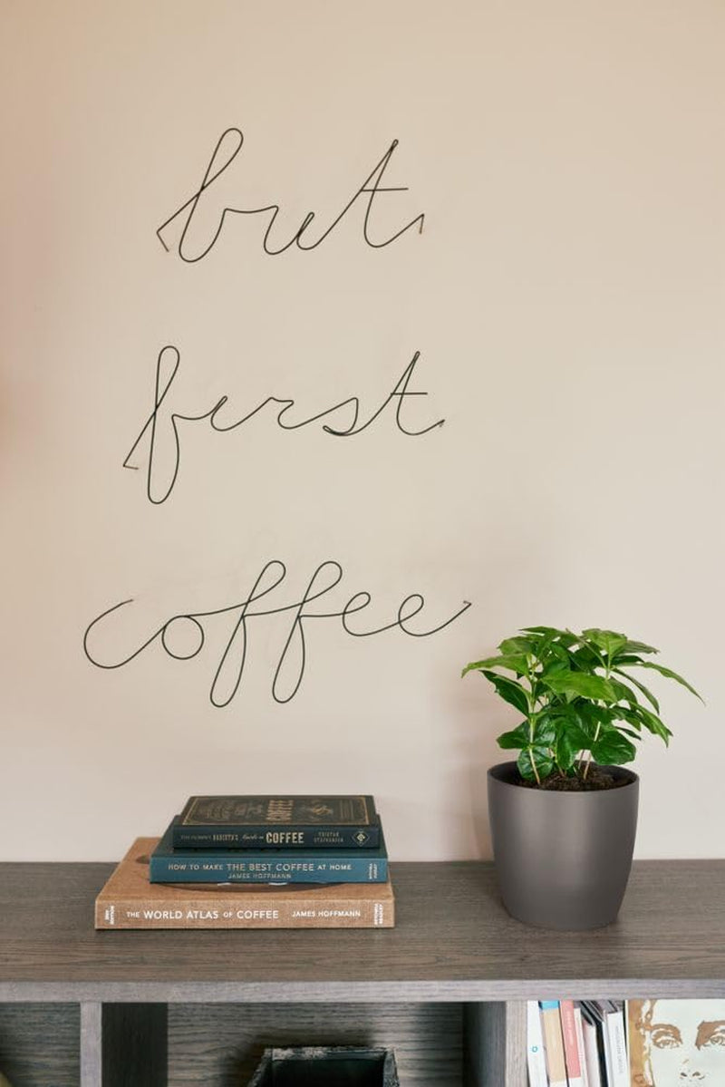 elho The Coffee Collection, ghiveci rotund de interior, 18 cm, fabricat din zaț de cafea și plastic reciclat - maro/maro espresso