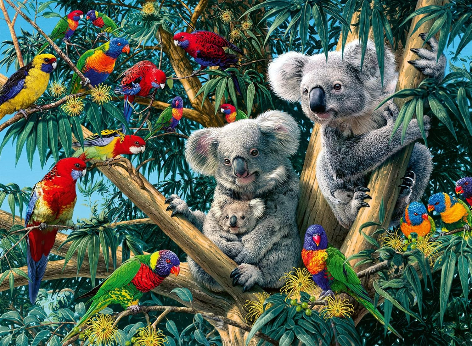 Ravensburger Puzzle 12000206 - Koalas într-un copac - Puzzle de 500 de piese pentru adulți și copii de la 10 ani, puzzle cu motiv animalier Puzzle Naty Shop Design vechi